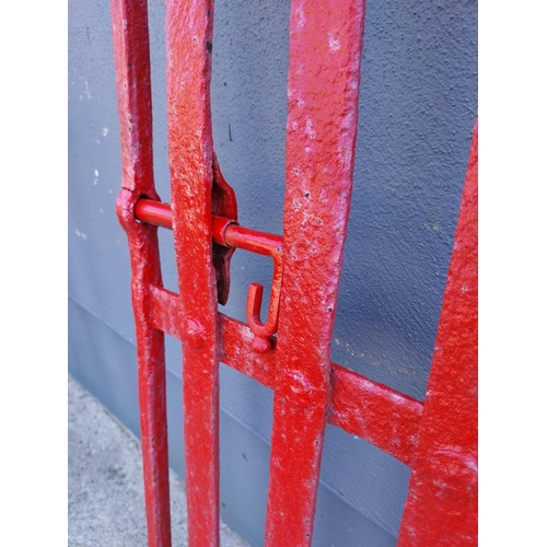 808 - Early 19th C. hand forged wrought iron garden gate with lollipop design {102 cm H x 47 cm W}.