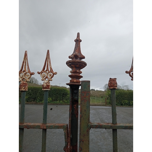 817 - Pair of wrought iron gates spiked finials {H 160cm x W 310cm }. (NOT AVAILABLE TO VIEW IN PERSON)