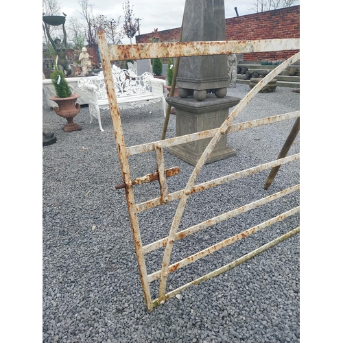 834 - Good quality 19th C. Irish wrought iron field gate {135 cm H x 275 cm W }.