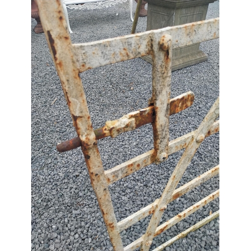 834 - Good quality 19th C. Irish wrought iron field gate {135 cm H x 275 cm W }.