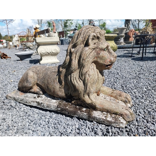 836 - Pair of re-constituted stone statues of recumbent Lions {50 cm H x 87 cm W x 31 cm D}.