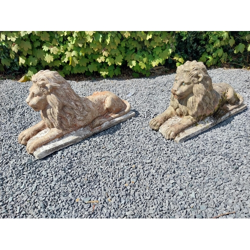 836 - Pair of re-constituted stone statues of recumbent Lions {50 cm H x 87 cm W x 31 cm D}.