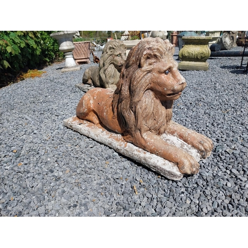 836 - Pair of re-constituted stone statues of recumbent Lions {50 cm H x 87 cm W x 31 cm D}.