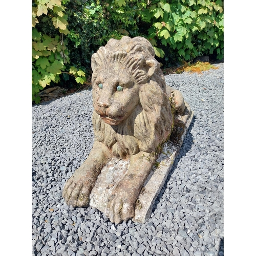 836 - Pair of re-constituted stone statues of recumbent Lions {50 cm H x 87 cm W x 31 cm D}.