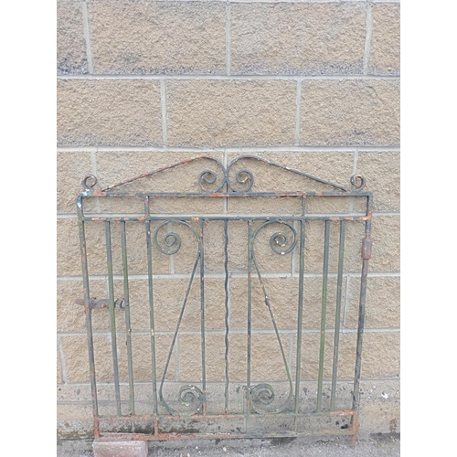 857 - Wrought iron garden gate with scroll design  {H 110cm x W 102}.