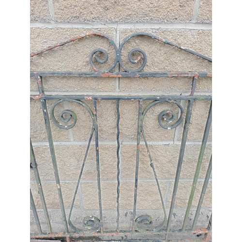 857 - Wrought iron garden gate with scroll design  {H 110cm x W 102}.