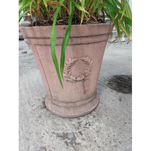 888 - Pair of moulded terracotta planters decorated with rosettes {51 cm H x 50 cm Dia.}.