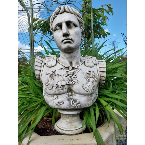 904 - Moulded stone bust of Caesar {57 cm H x 37 cm W x 23 cm D}.