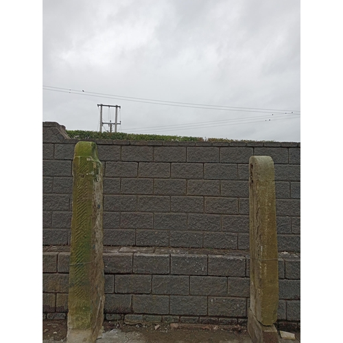 909 - Pair of Victorian sandstone gateposts with half round bullnose tops {H 212 cm x W 20cm x D 55cm }.