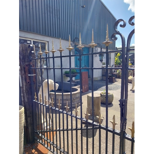 914 - Pair of 19th C. wrought iron entrance gates with spire tops {185 cm H x 335 cm W}.