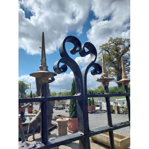 914 - Pair of 19th C. wrought iron entrance gates with spire tops {185 cm H x 335 cm W}.