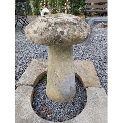 916 - Sandstone staddle stone {65 cm H x 45 cm Dia}.