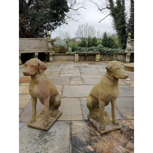 921 - Pair of composition stone statues of Dogs {H 60cm x W 28cm x D 40cm }. (NOT AVAILABLE TO VIEW IN PER... 