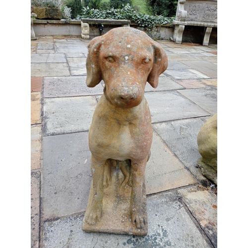 921 - Pair of composition stone statues of Dogs {H 60cm x W 28cm x D 40cm }. (NOT AVAILABLE TO VIEW IN PER... 