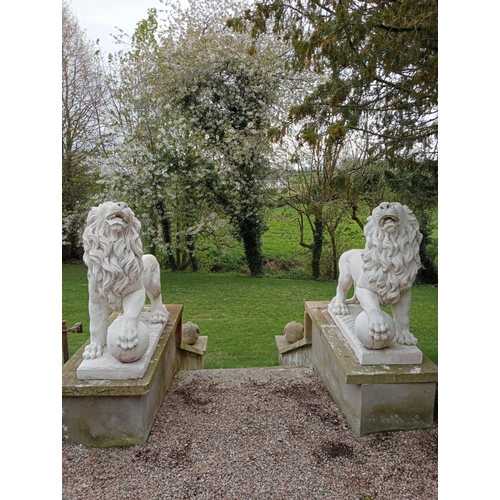 967 - Pair of composition stone statues of Lions with ball at feet {H 110cm x D 120cm x W 40cm}. (NOT AVAI... 