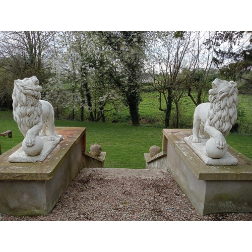 967 - Pair of composition stone statues of Lions with ball at feet {H 110cm x D 120cm x W 40cm}. (NOT AVAI... 