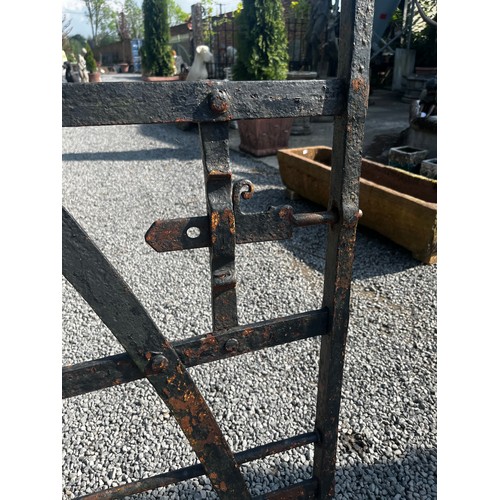 5 - 19th C. wrought iron Co. Meath field gate {158cm H x 264cm W}