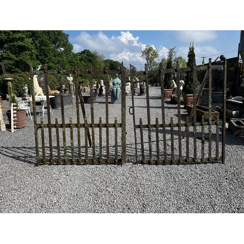 120 - Pair of 19th C. Co Meath wrought iron enterance gates {160cm x 278cm}