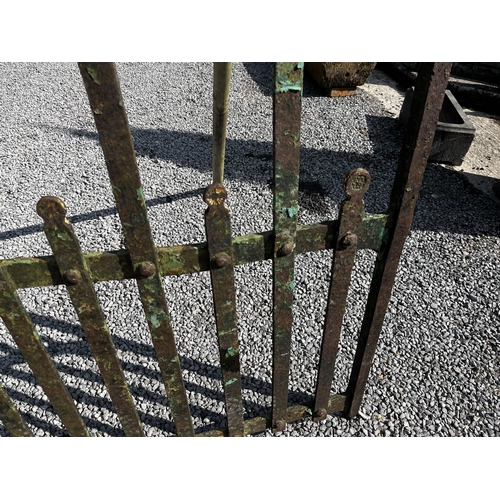 120 - Pair of 19th C. Co Meath wrought iron enterance gates {160cm x 278cm}