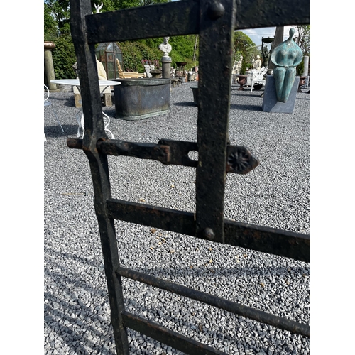 15 - 19th C. wrought iron Co. Meath field gate {156cm H x 258cm W}