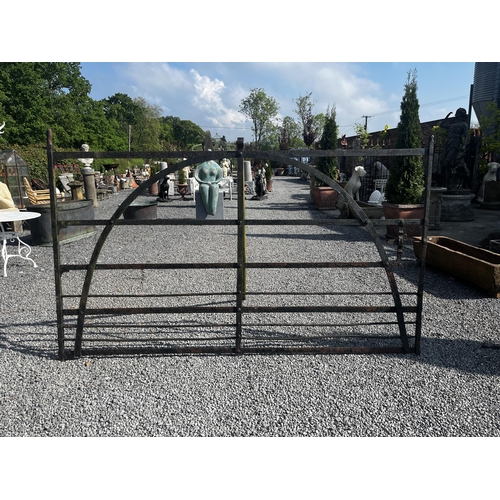 5 - 19th C. wrought iron Co. Meath field gate {158cm H x 264cm W}