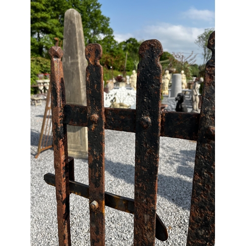 535 - 19th C. wrought iron garden gate {143cm H x 100cm W}