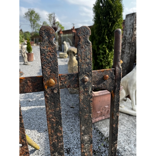 535 - 19th C. wrought iron garden gate {143cm H x 100cm W}