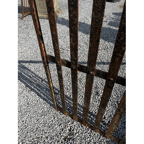 535 - 19th C. wrought iron garden gate {143cm H x 100cm W}