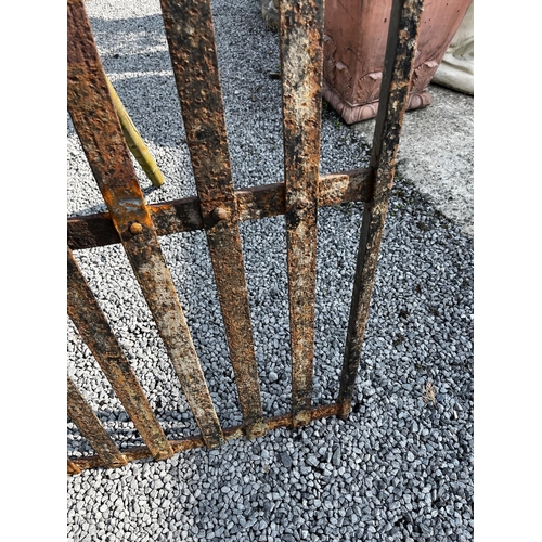 535 - 19th C. wrought iron garden gate {143cm H x 100cm W}