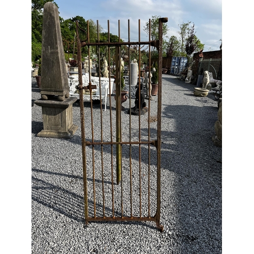 86 - Wrought iron garden gate {182cm H x 68cm W}