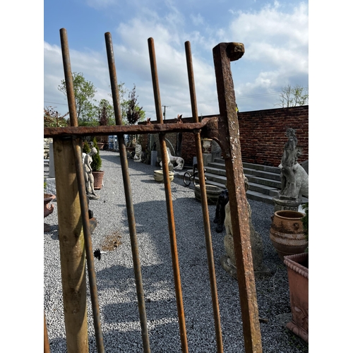 86 - Wrought iron garden gate {182cm H x 68cm W}