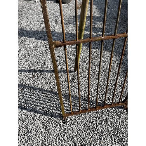 86 - Wrought iron garden gate {182cm H x 68cm W}