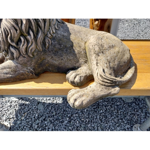 29 - Good quality composition recumbant lion {32cm H x 64cm W x 32cm D}