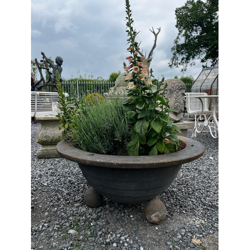 812 - Rare pair of Art Deco cast iron planters {41cm H x 90cm Dia.}