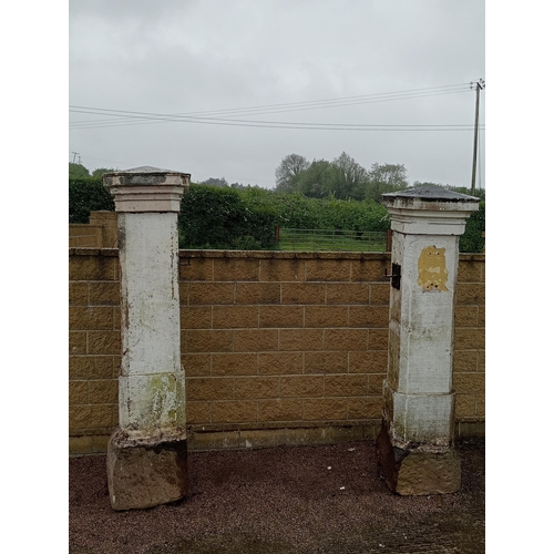 100B - Pair of large limestone pillars with pillar caps {H 255cm x W 50cm x D 50cm Caps 65 x 65}. (NOT AVAI... 