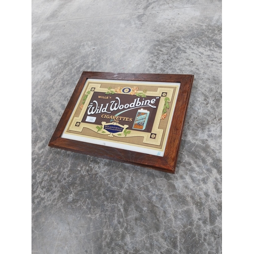 1115 - Framed original Wills's Wild Woodbine Cigarettes showcard. {34 cm H x 45 cm W}.