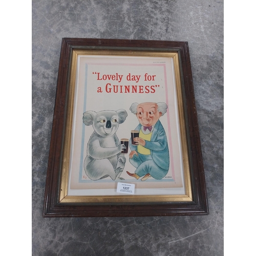 1237 - Lovely Day for A Guinness Koala framed original advertising print. {45 cm H x 34 cm W}.