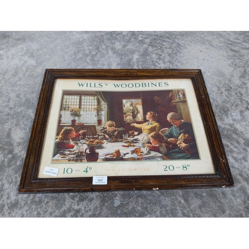 1257 - Original Wills's Woodbine framed showcard in original frame. {32 cm H x 57 cm W].