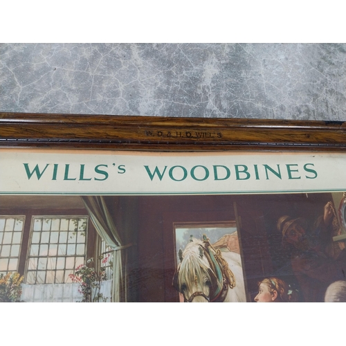 1257 - Original Wills's Woodbine framed showcard in original frame. {32 cm H x 57 cm W].