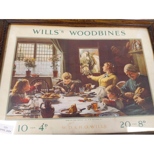 1257 - Original Wills's Woodbine framed showcard in original frame. {32 cm H x 57 cm W].