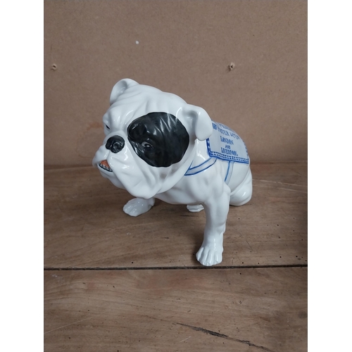 1264 - Bulldog Guinness Robert Porter and Co Ltd London and Liverpool advertising ceramic Bulldog. {19 cm H... 