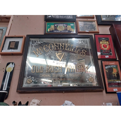 1275 - Rare 19th McConnell's Old Irish Whisky Cromac Distillery Belfast's advertising mirror in original fr... 