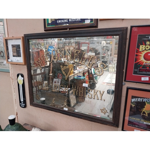 1275 - Rare 19th McConnell's Old Irish Whisky Cromac Distillery Belfast's advertising mirror in original fr... 