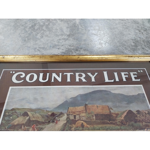 1283 - Player's Country Life Tobacco and Cigarettes framed showcard. {55 cm H x 67 cm W}.