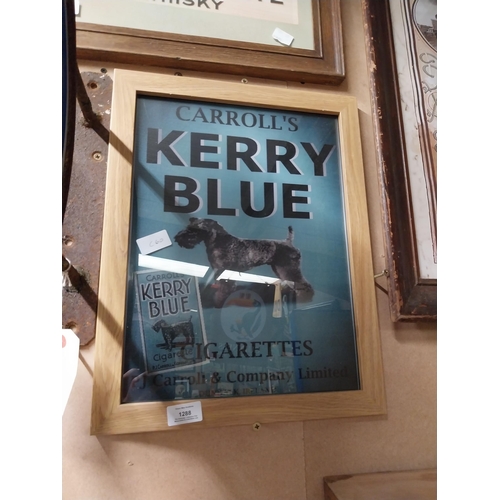 1288 - Carroll's Kerry Blue framed advertising print. {45 cm H x 45 cm W}.