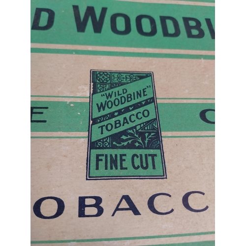 1334 - Two Wild Woodbine Fine Cut Tobacco cigarette cartons. {18 cm H x 25 cm W x 11 cm D}.