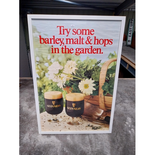 1403 - Original early 1980s large Try Some Barley malt and  Hops in the Garden advertising print mounted in... 