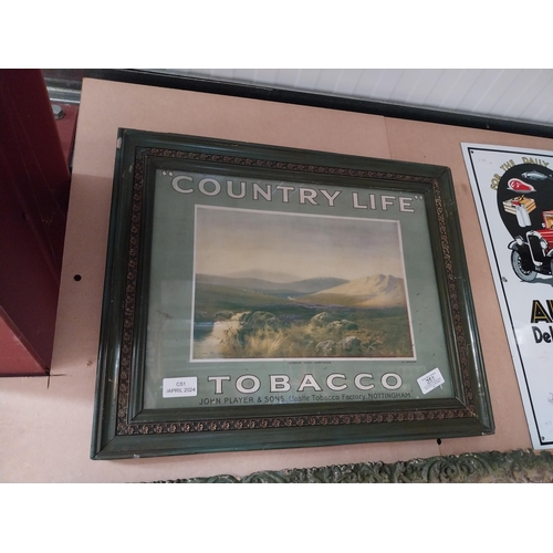 251 - Framed original Country Life showcard. {40 cm H x 37 cm W].