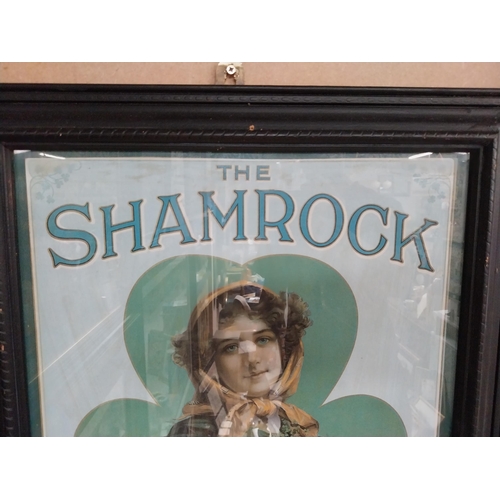 276 - Framed Shamrock Irish Whiskey advertising print. {65 cm H x 51 cm W].