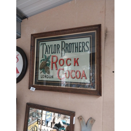 290 - Rare Taylor's Brothers Rock Cocoa London framed advertising showcard. { 38cm H X 49cm W }.